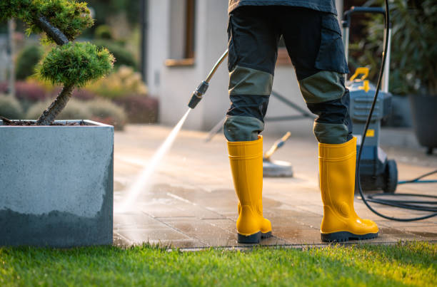 Deck Cleaning Services in Chocowinity, NC